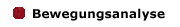 Bewegungsanalyse
